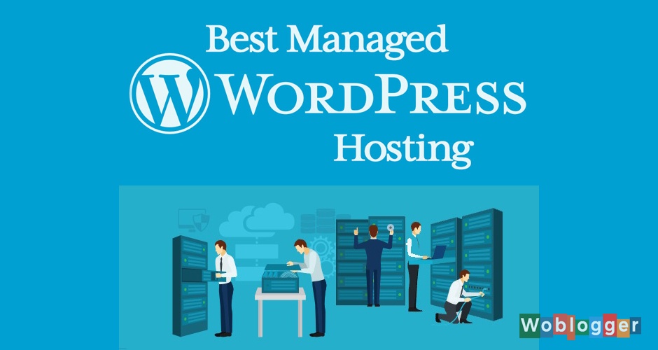 wordpress hosting worldwide alitech